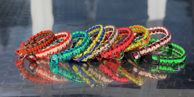 Paracord-Hunde-Halsbänder