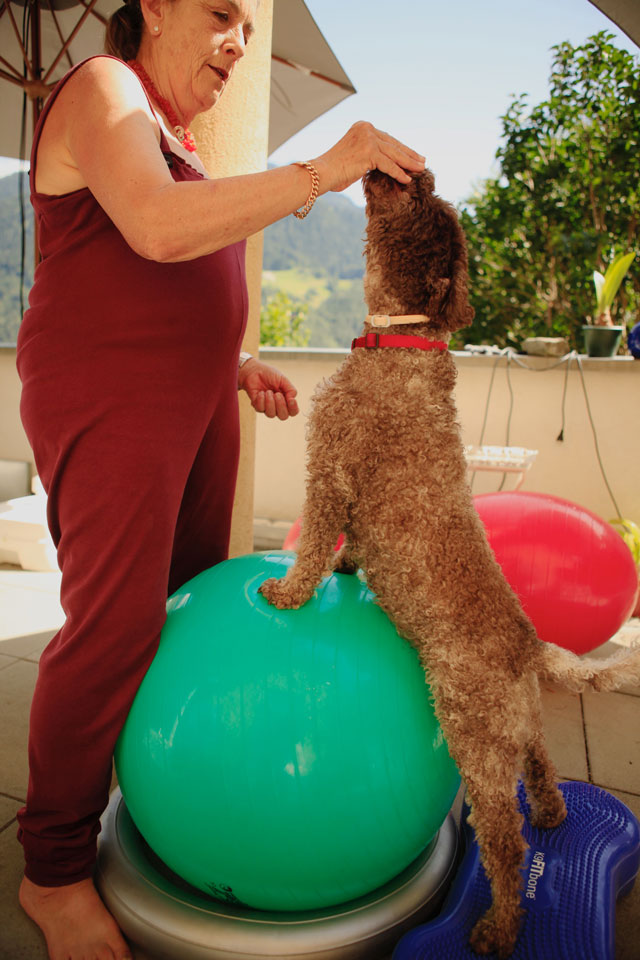 Raggio di Sole Hunde Training